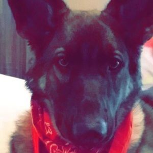 Meet your Posher, Libby